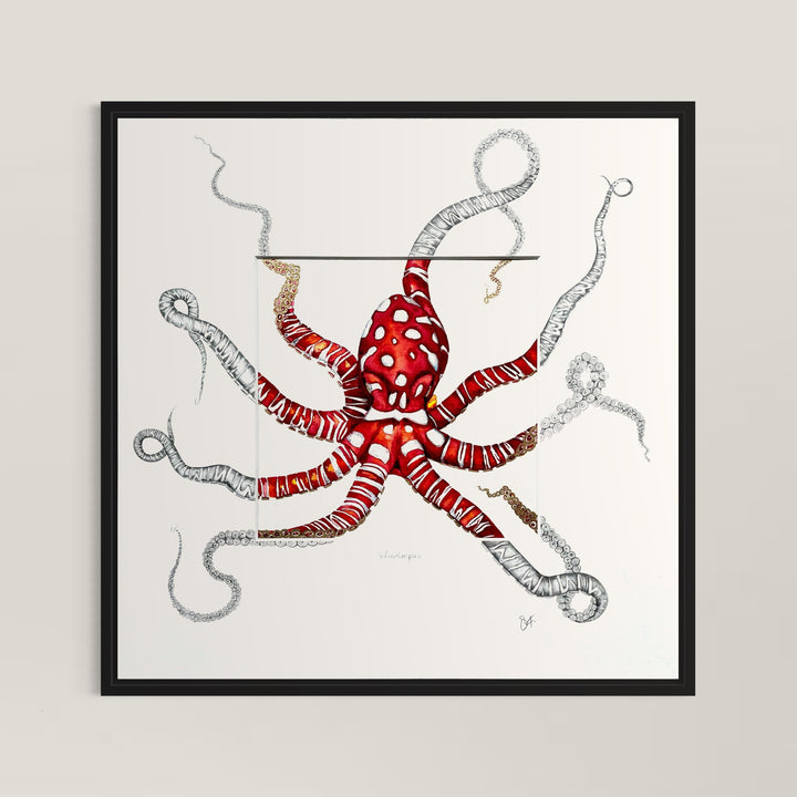 Wunderpus Octopus Original Watercolour with Unique Sketched Detailing