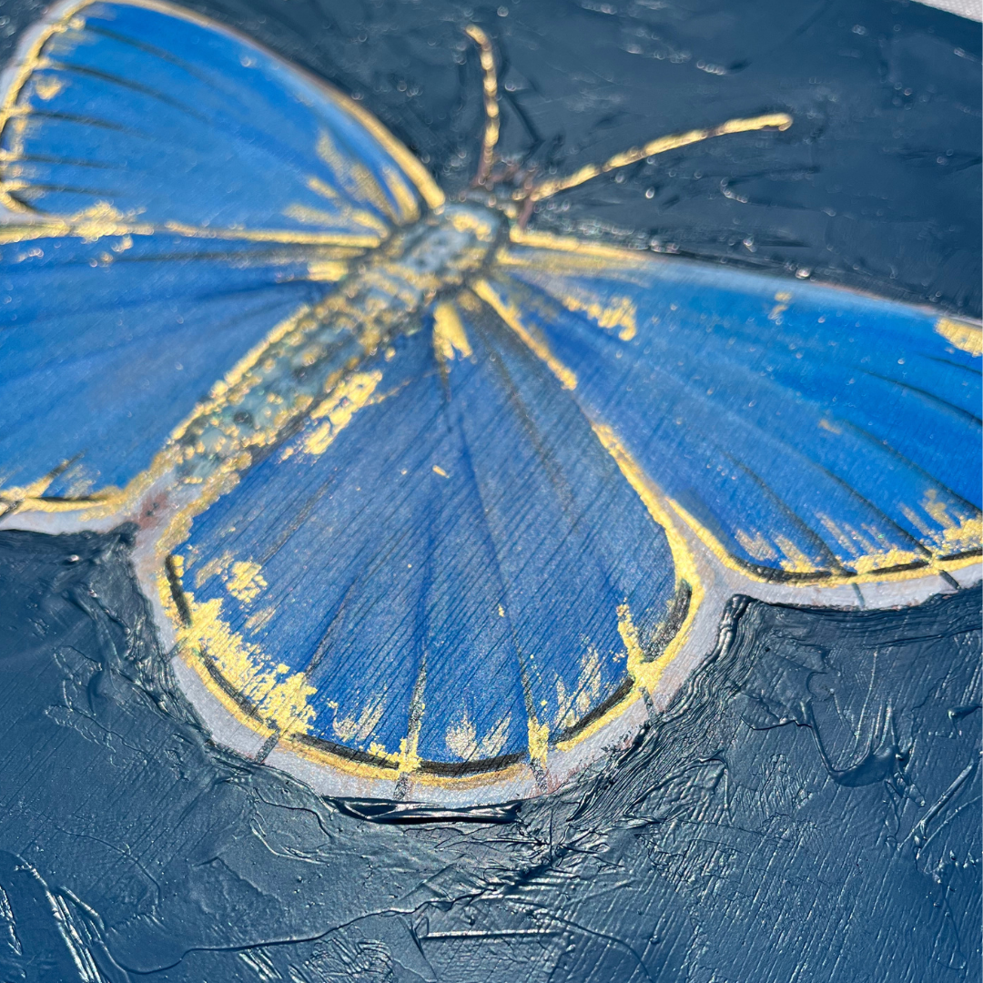 Whispers of wings~ Adonis Blue Butterfly with 23ct gold
