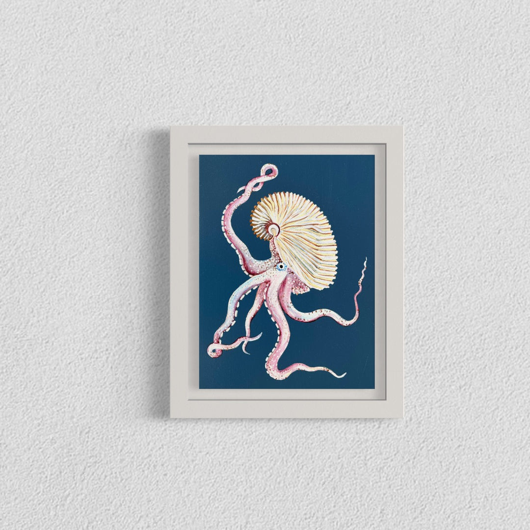 Argonaut octopus framed in white frame