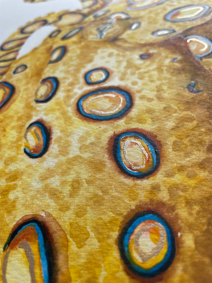 Blue Ringed Octopus - Original Framed Watercolour