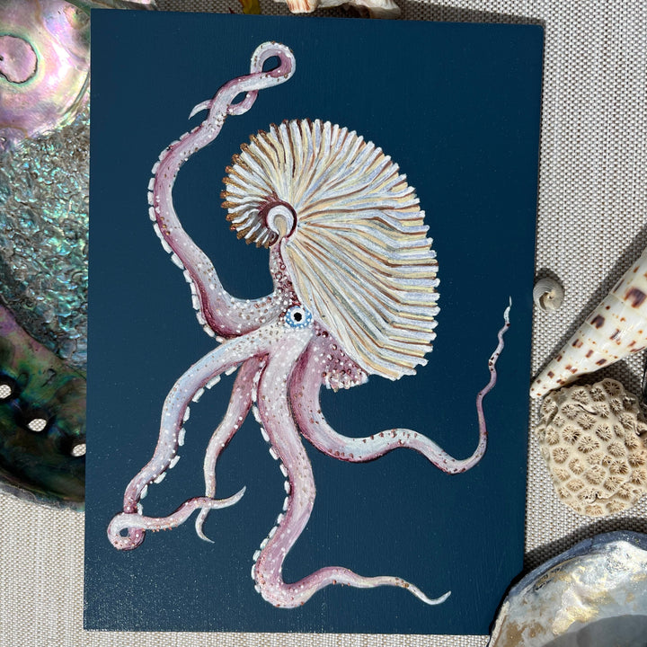 Argonaut octopus close up