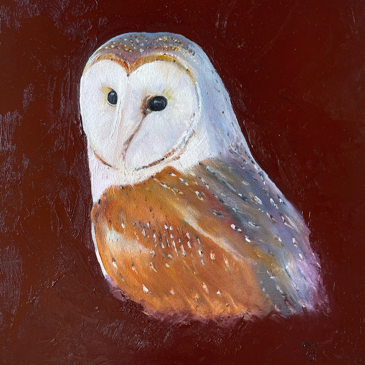 oil painting burgundy red background featuring a barn owl