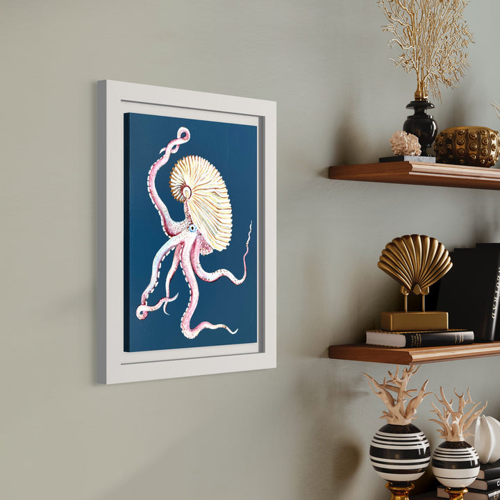 Argonaut octopus framed on wall with shelf