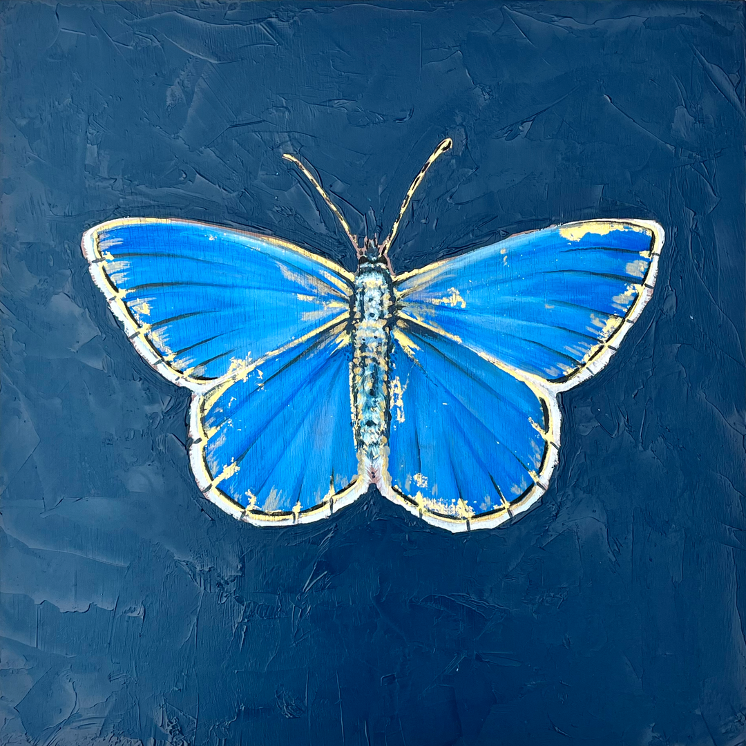 Whispers of wings~ Adonis Blue Butterfly with 23ct gold
