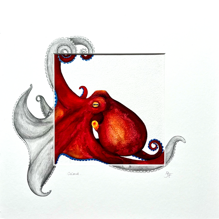 Coconut Octopus Original Watercolour with Unique Sketched Detailing