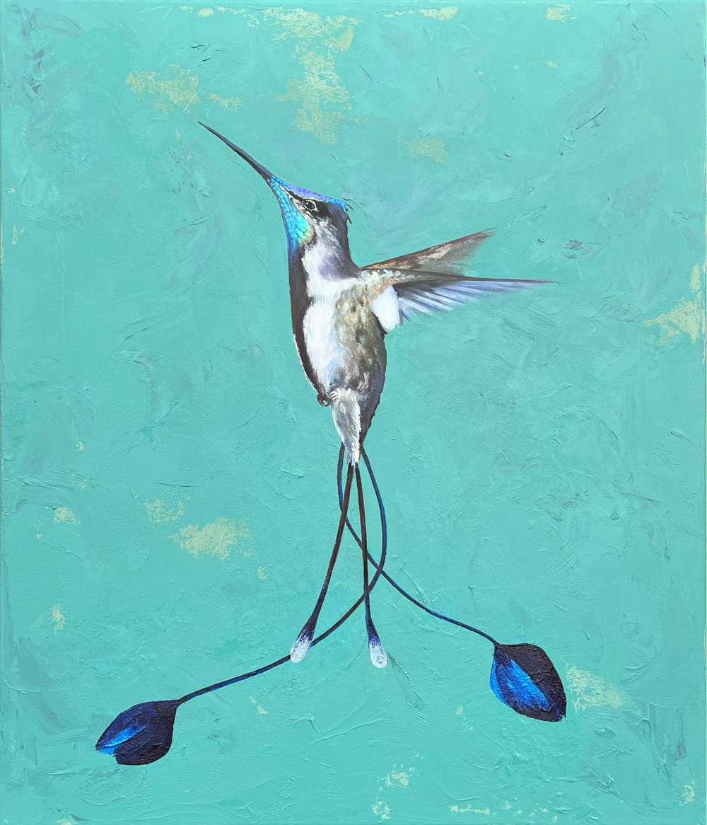 front view of the humming bird showing iridescent plumage and dusty green hue canvas