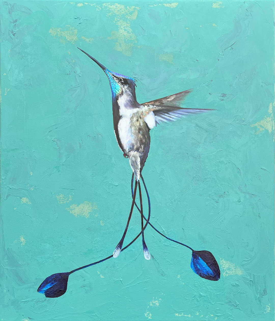 front view of the humming bird showing iridescent plumage and dusty green hue canvas