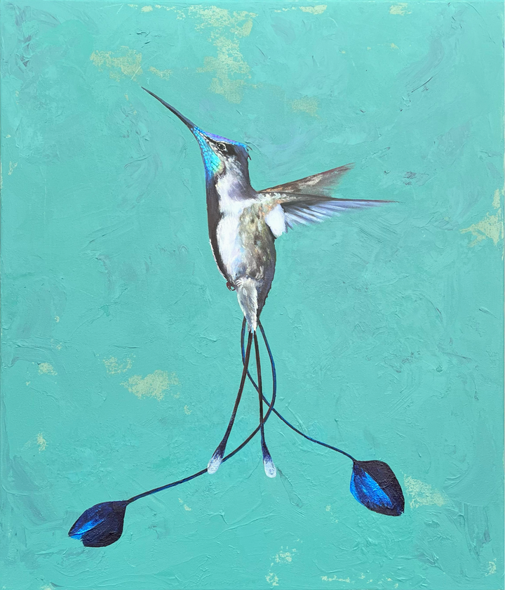 front view of the humming bird showing iridescent plumage and dusty green hue canvas