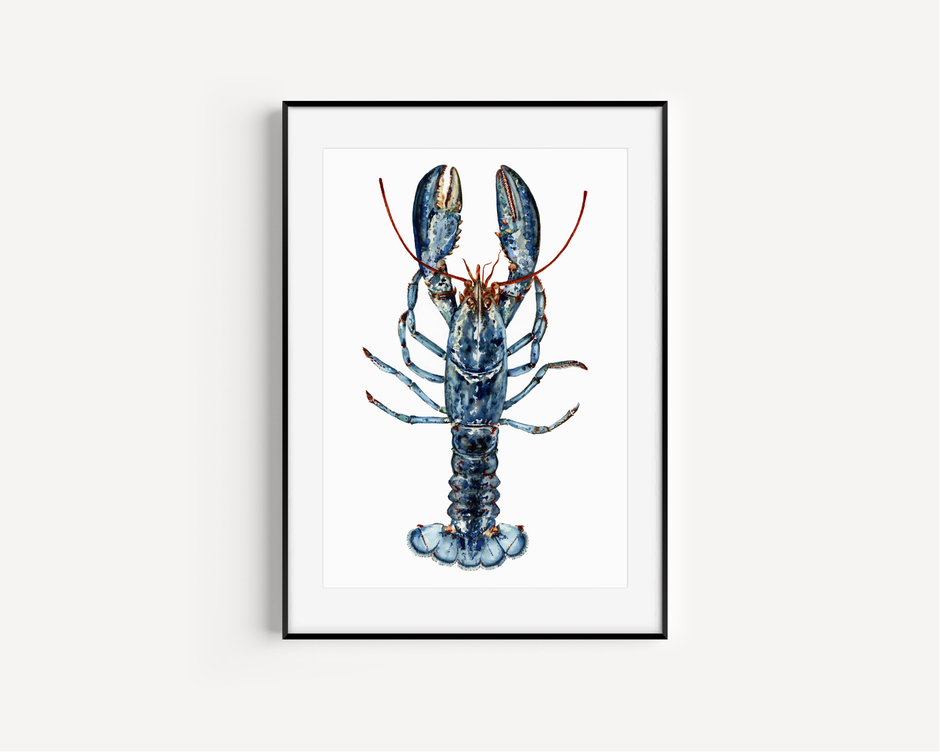 Lobsters Giclee by Kamala shops Dolphin-Kingsley - 16