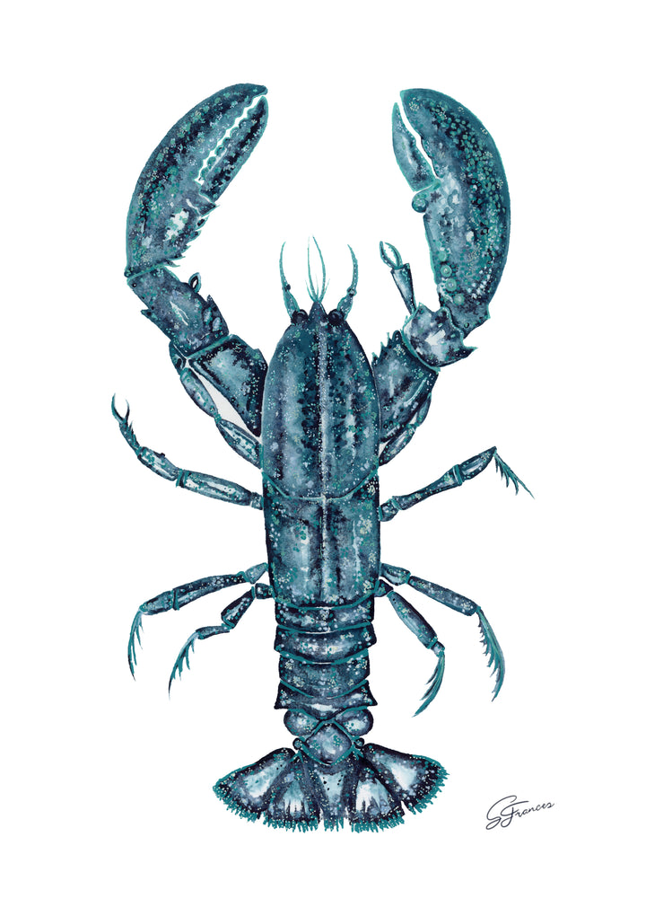 detailed picture of lobster print