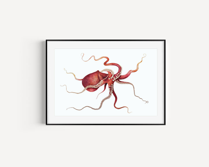 Gold Embellished Gliding Red Octopus Fine Art Print