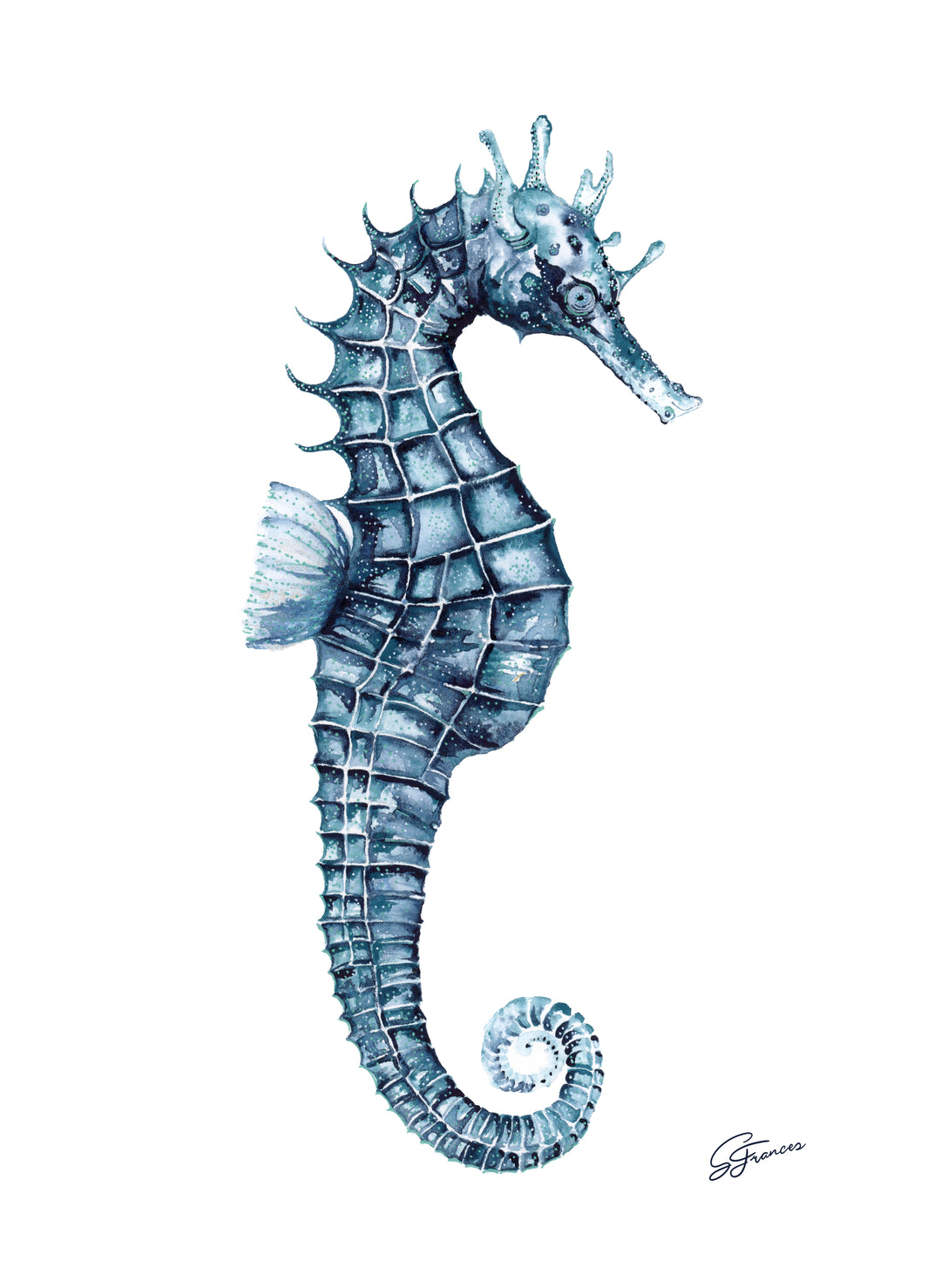 seahorse print close up , detailed