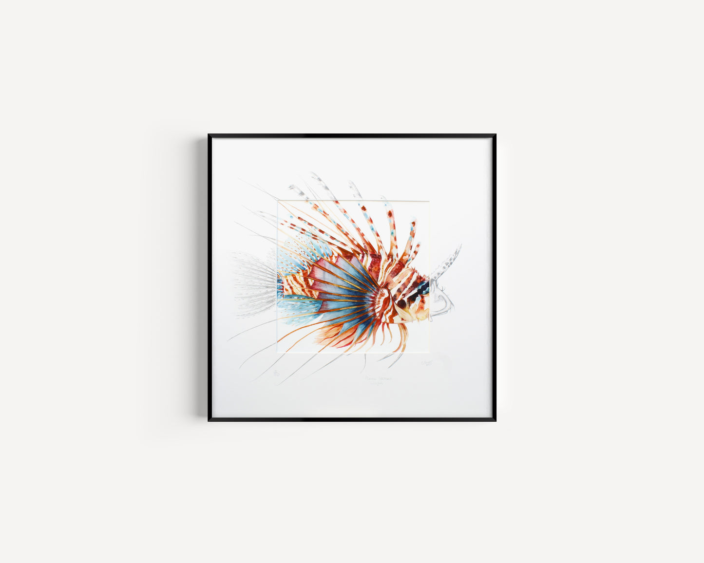 Lion Fish Sketched Mount
