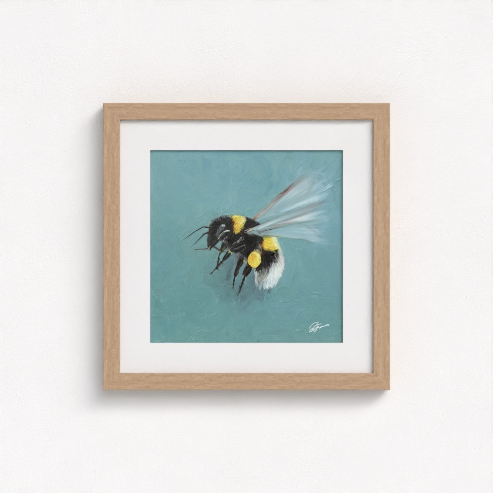 Bumblebee in Flight Fine Art Print | Premium Collection