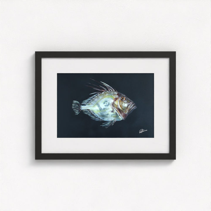 John Dory Fine Art Print | Premium Collection