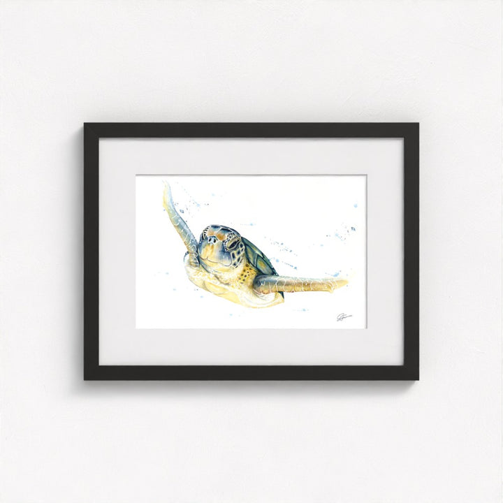 Green Sea Turtle Fine Art Print | Premium Collection