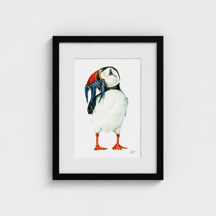 Clown of The Sea Watercolour Fine Art Print |  Premium Collection