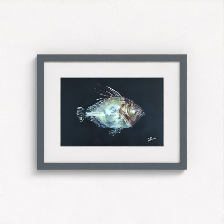 John Dory Fine Art Print | Premium Collection