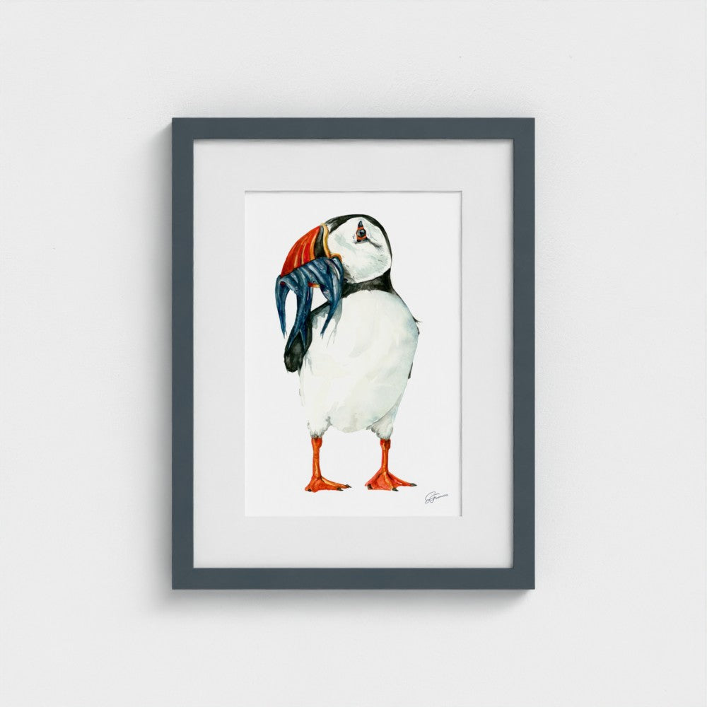 Clown of The Sea Watercolour Fine Art Print |  Premium Collection