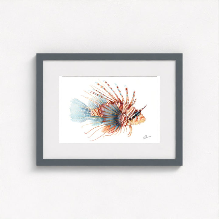 Lionfish Watercolour Fine Art Print | Premium Collection