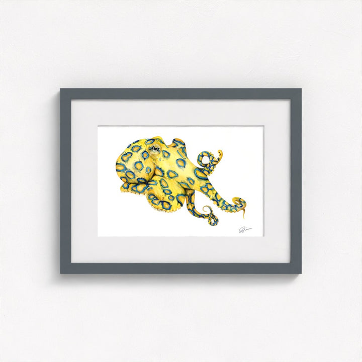 Blue Ringed Octopus Fine Art Print | Premium Collection