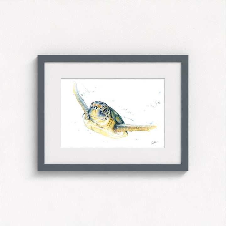 Green Sea Turtle Fine Art Print | Premium Collection