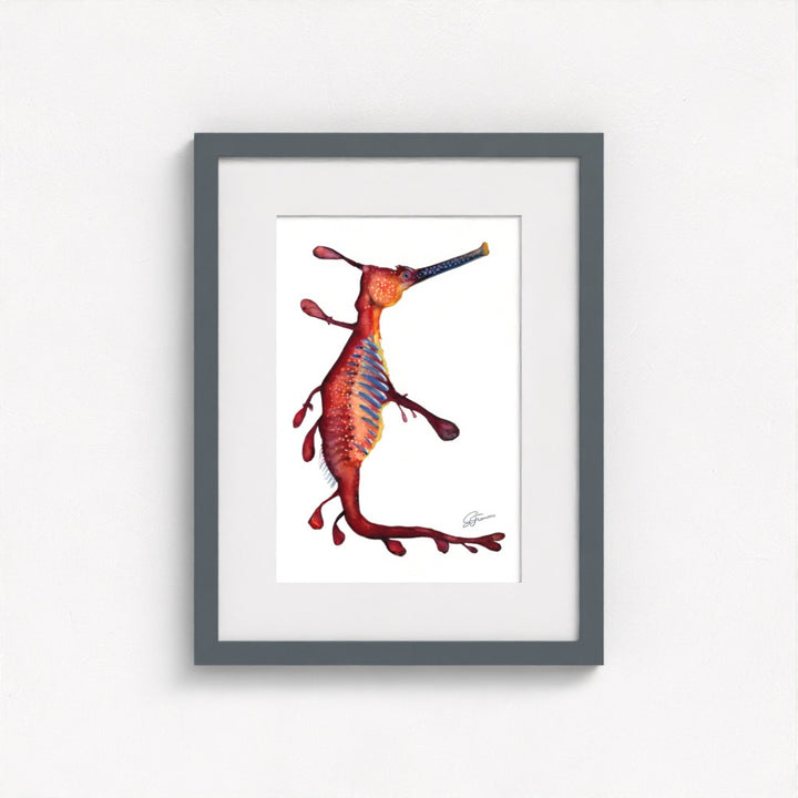 Weedy Sea Dragon Fine Art Print | Premium Collection
