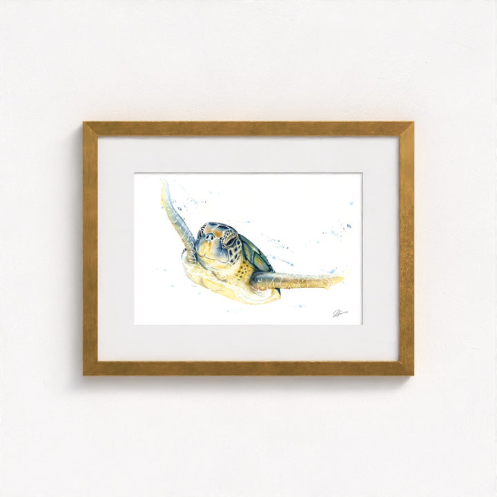 Green Sea Turtle Fine Art Print | Premium Collection