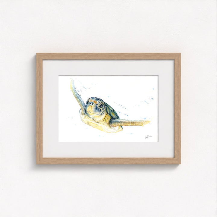 Green Sea Turtle Fine Art Print | Premium Collection