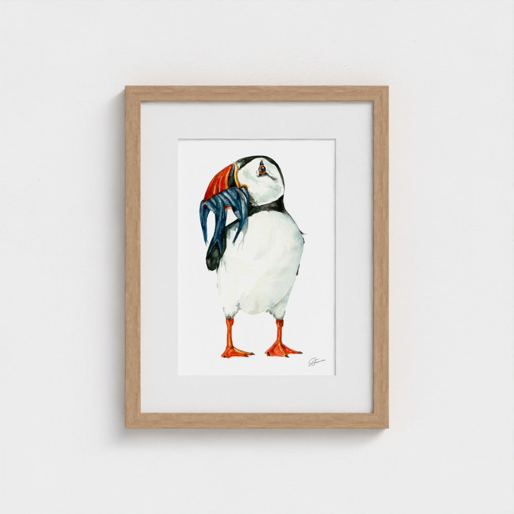 Clown of The Sea Watercolour Fine Art Print |  Premium Collection