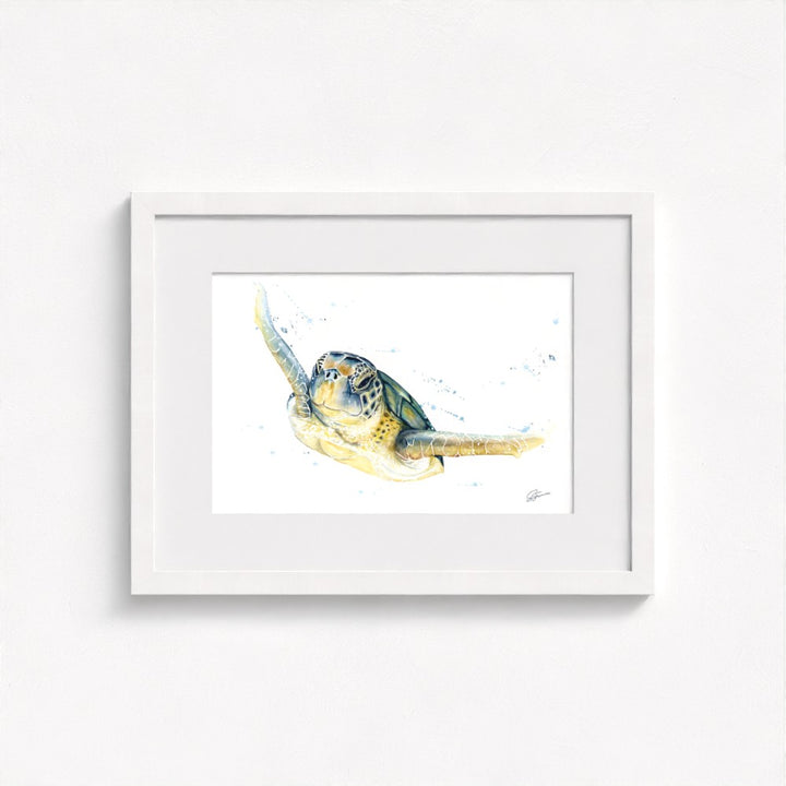 Green Sea Turtle Fine Art Print | Premium Collection