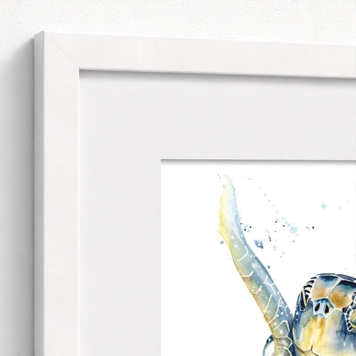 Green Sea Turtle Fine Art Print | Premium Collection