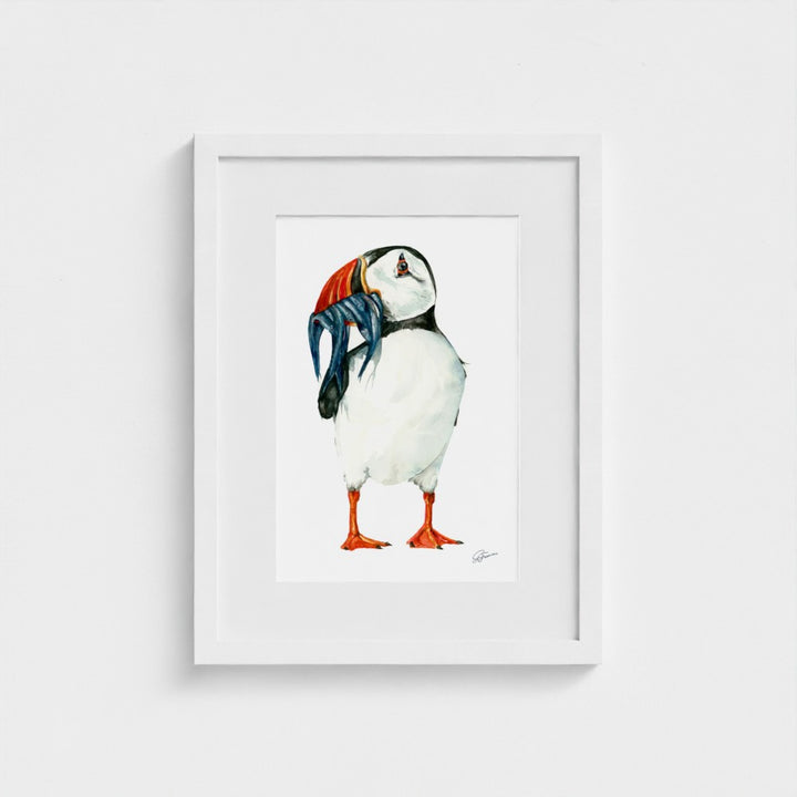 Clown of The Sea Watercolour Fine Art Print |  Premium Collection