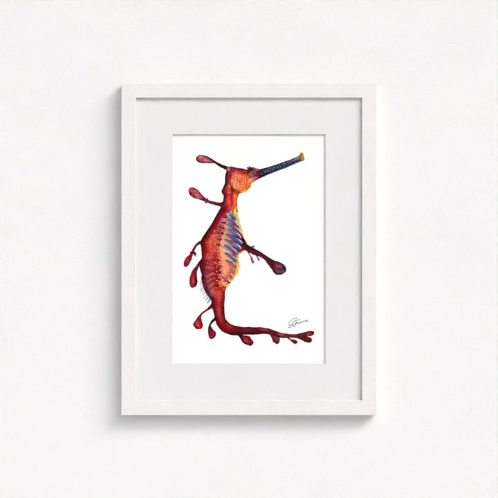 Weedy Sea Dragon Fine Art Print | Premium Collection