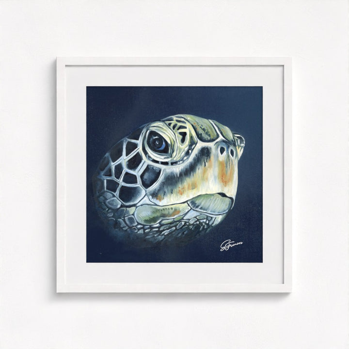 Turtle Head Fine Art Print | Premium Collection