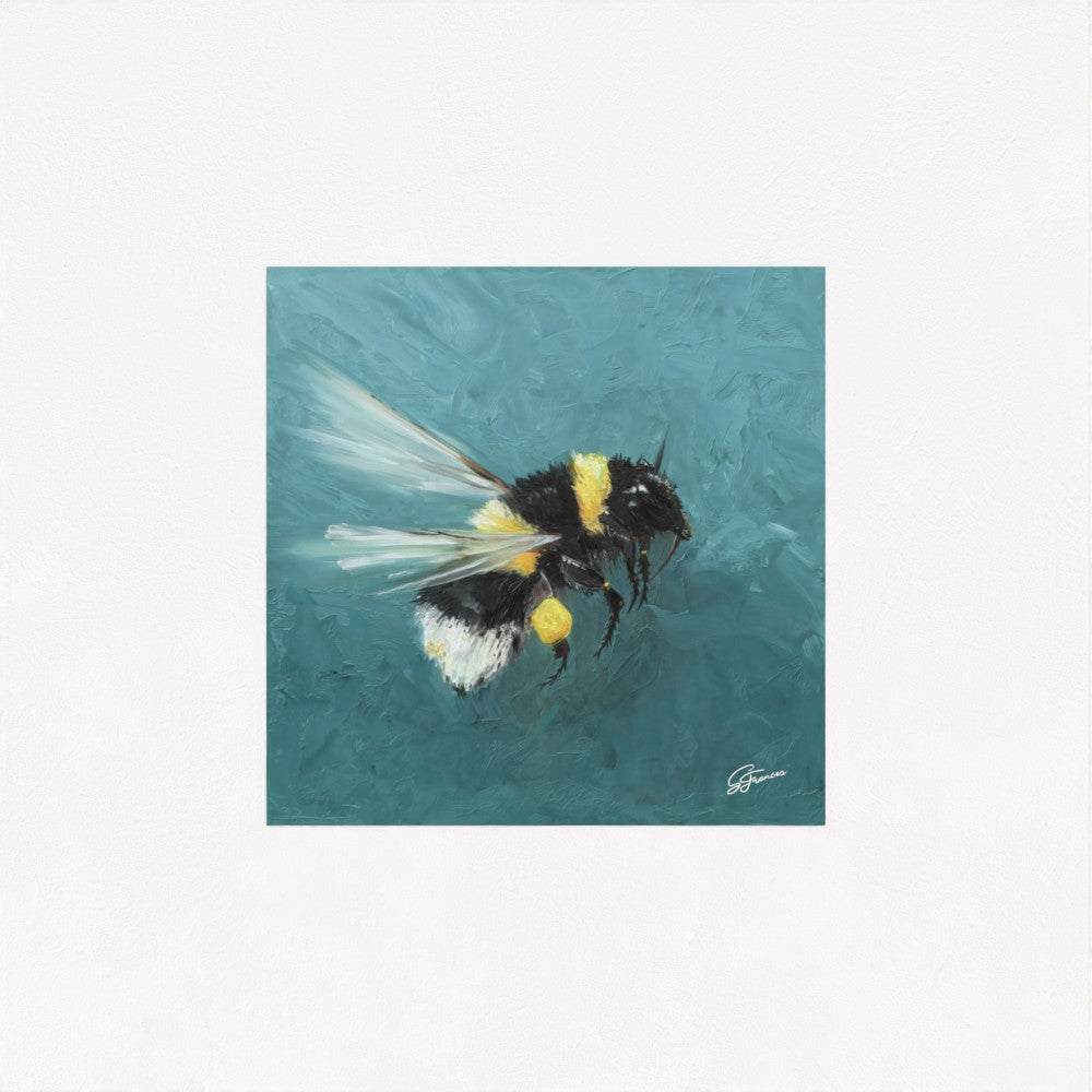 Bumblebee in Flight Fine Art Print | Premium Collection
