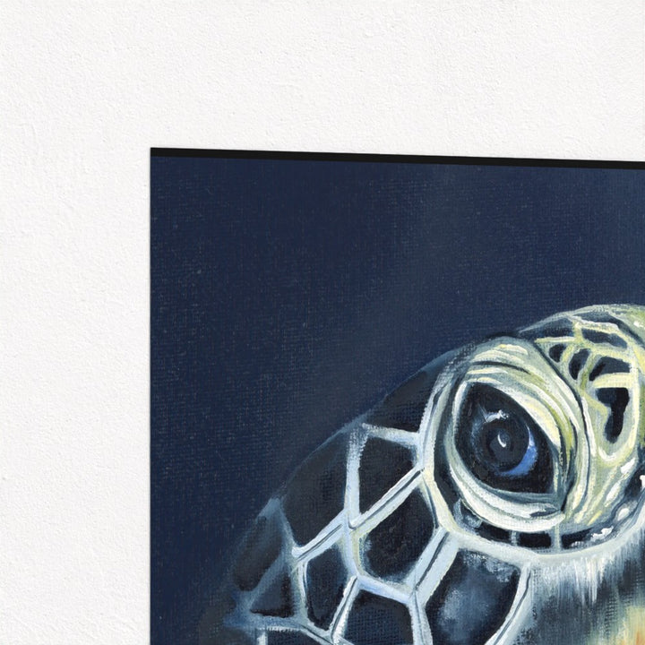 Turtle Head Fine Art Print | Premium Collection