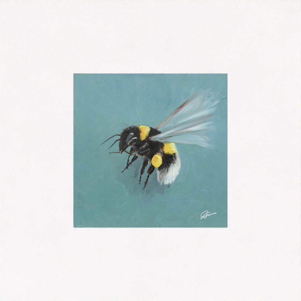 Bumblebee in Flight Fine Art Print | Premium Collection