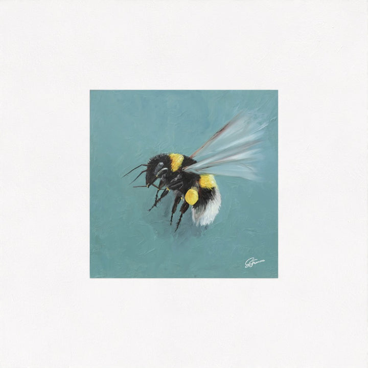 Bumblebee in Flight Fine Art Print | Premium Collection