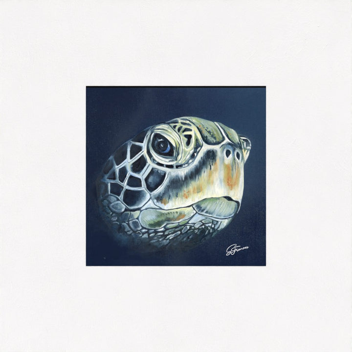 Turtle Head Fine Art Print | Premium Collection