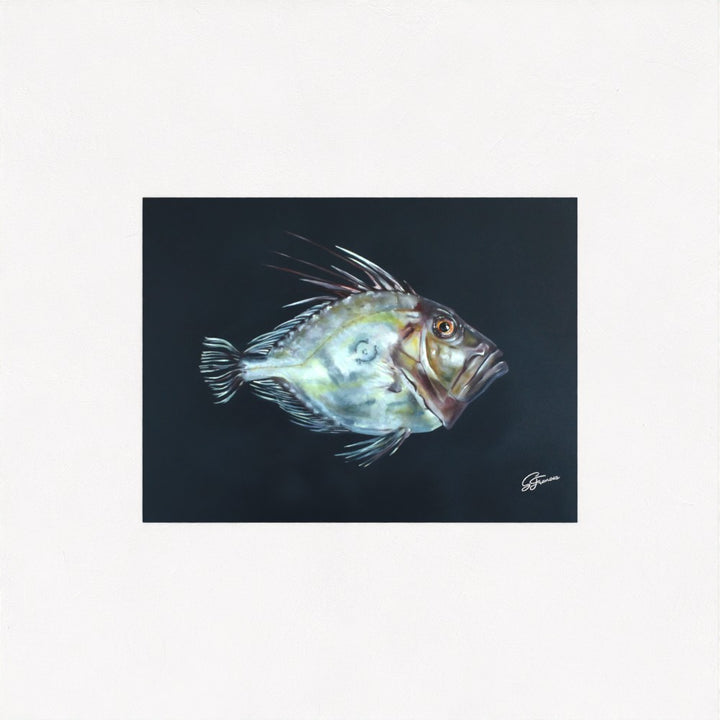 John Dory Fine Art Print | Premium Collection