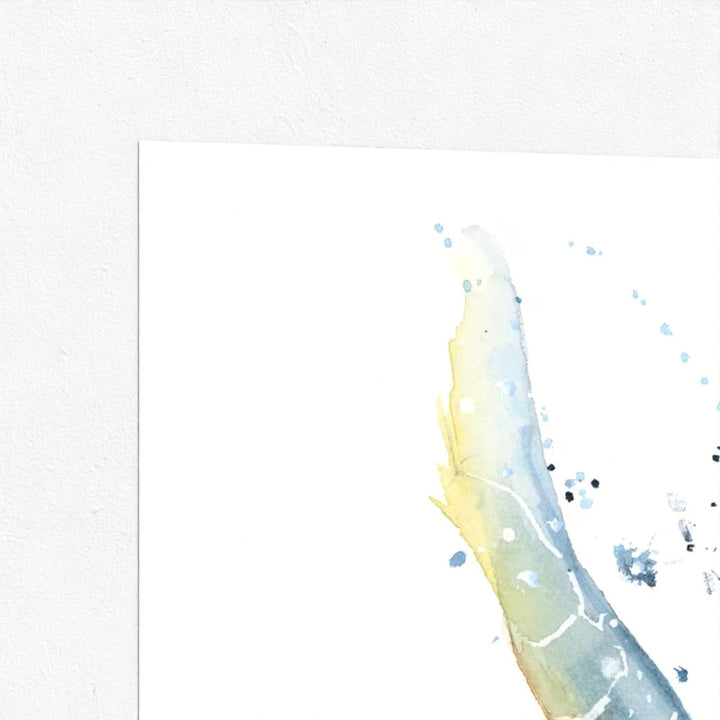 Green Sea Turtle Fine Art Print | Premium Collection