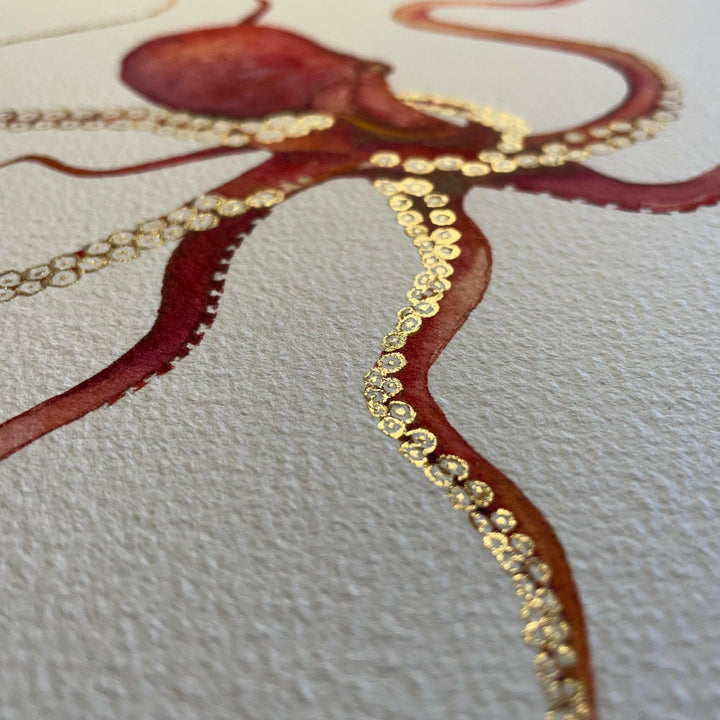 Gold Embellished Gliding Red Octopus Fine Art Print