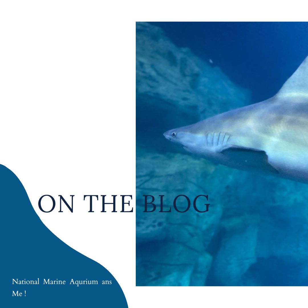 The National Marine Aquarium and I.