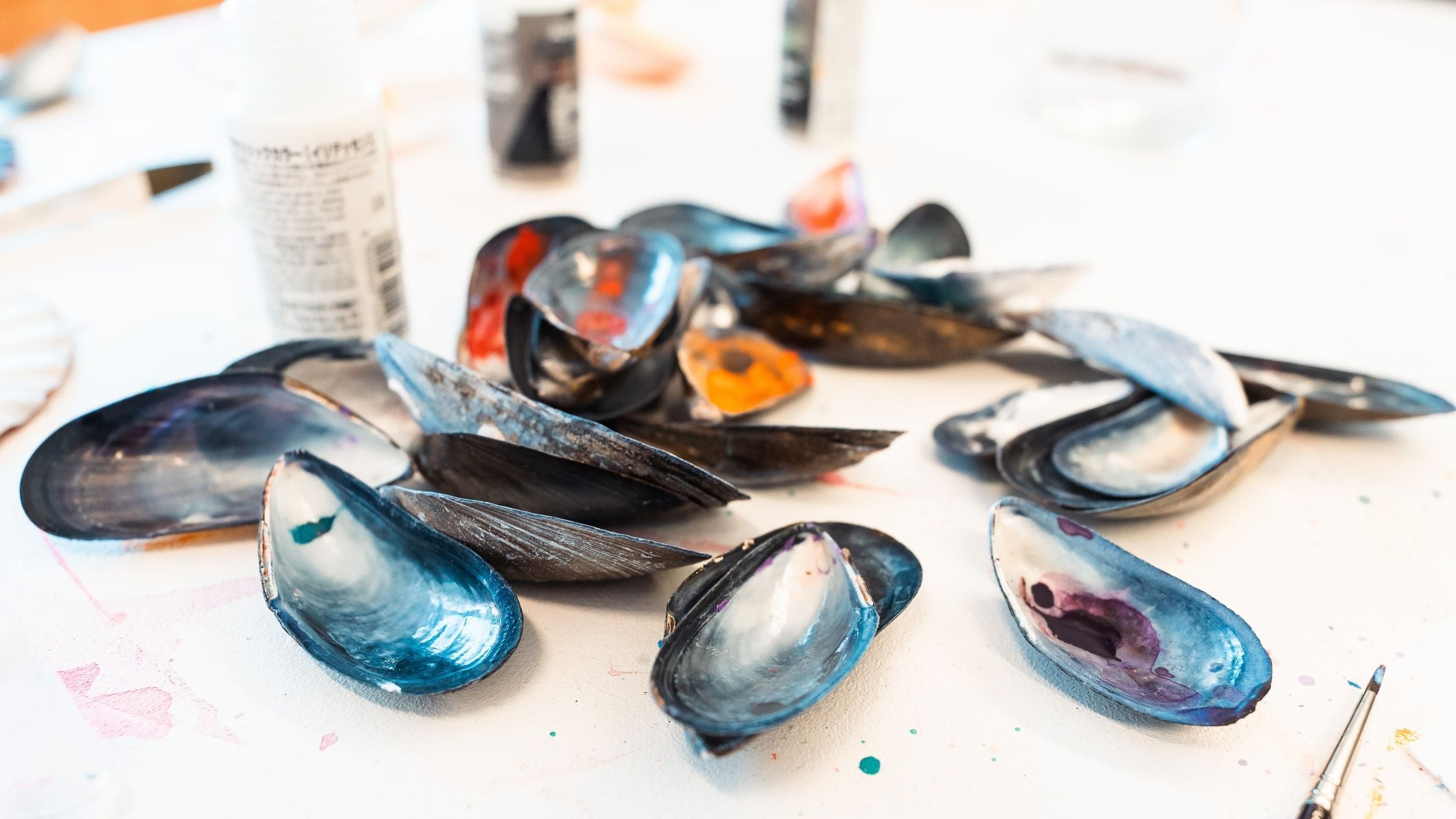 Nature's Palette