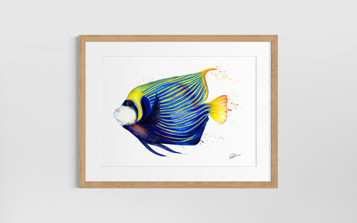 Framed artwork of a colorful fish on a white wall