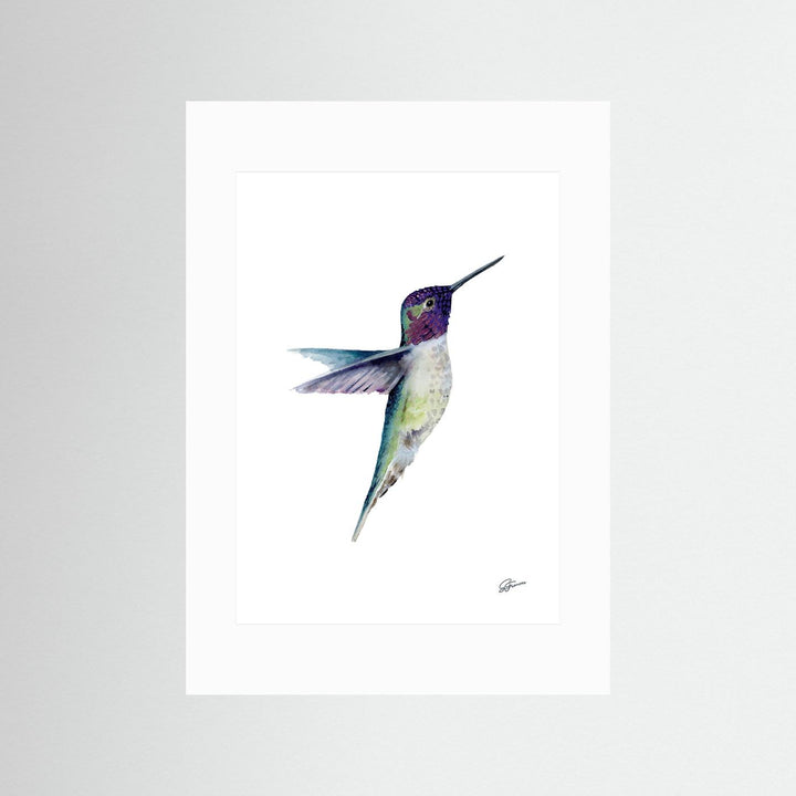 Miniature Majesty Hummingbird | Fine Art Print
