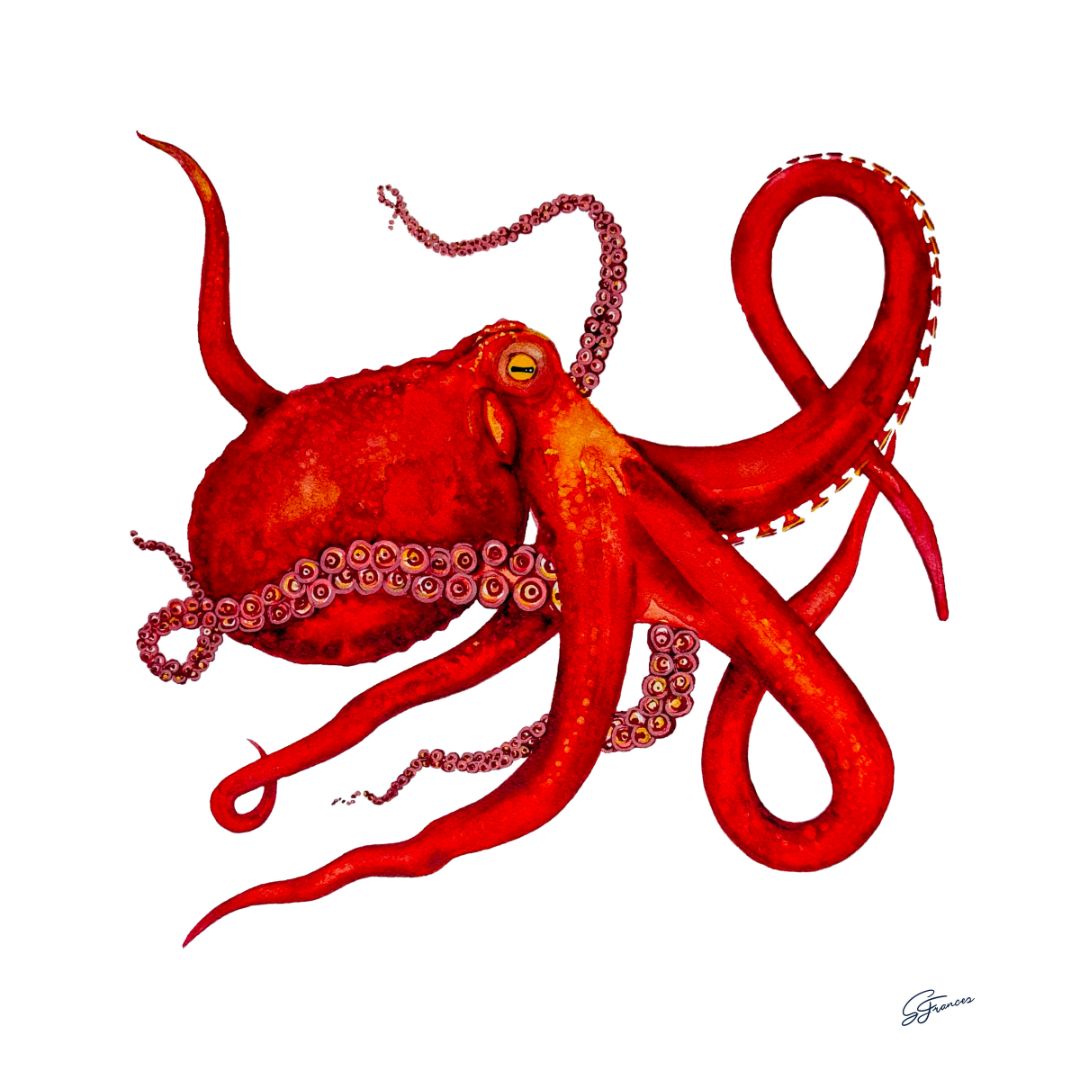 Presence Fine Art Print | Premium Collection