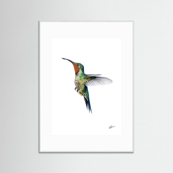 Hummingbird's Dance | Fine Art Print