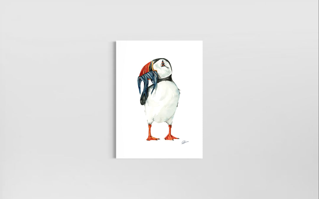 Clown of The Sea Watercolour Fine Art Print |  Premium Collection